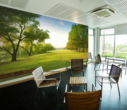 3D SUNSHINE FOREST A240 Wallpaper Wall Mural Self-adhesive Assaf Frank