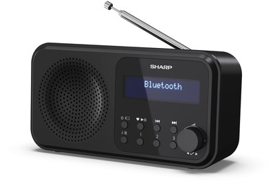 DR-P420 Portables Digitalradio DAB/DAB+/FM mit RDS USB Bluetooth 5.0 35mm Kli...