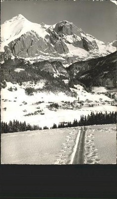 Wildhaus SG Trail Schafberg