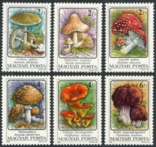 Hungary 3046-3051, MNH. Michel 3871-3876. Fungi 1986.