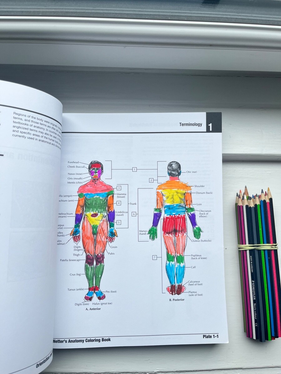 Netter's Anatomy Coloring Book Anatomy and Physiology, 2nd edition