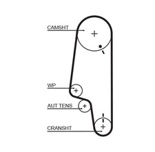 Courroie de distribution Skoda FELICIA