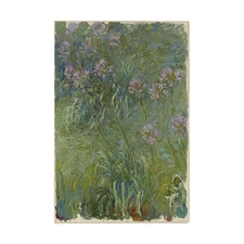 Claude Monet-Agapanthus Hand-painted Oil Painting Wall Art