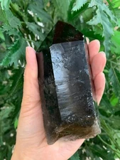 Extra Large Natural Smoky Quartz Crystal Points, 2-3 Inches Smoky Quartz Point
