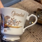 Vintage English Bone China Pheasant “Grandad” Cup And Saucer — photo 9