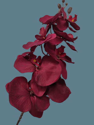 Artificial Phalaenopsis Orchid  flower stem  DEEP BURGUNDY
