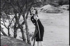 Daughter of Don Q 1946 Cliffhanger 12 Chapter Movie Serial On 2 DVDs