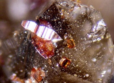 ANATASTE on Quartz - White Mountains, Inyo County, CALIFORNIA