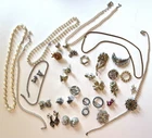 Vintage Costume Jewelry Lot 10+ oz. Pins Earrings Necklaces Brooches