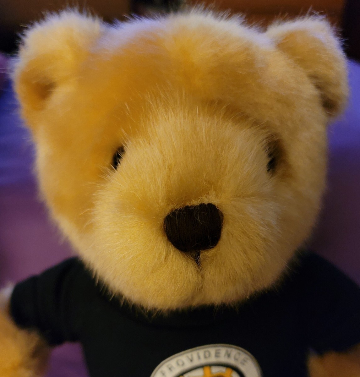 Providence Bruins 2006 AHL Hockey Mascot Samboni 10