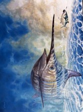 Ceramic Backsplash Tile Mural Fishing Saltwater Fish - Chasing The Carrot