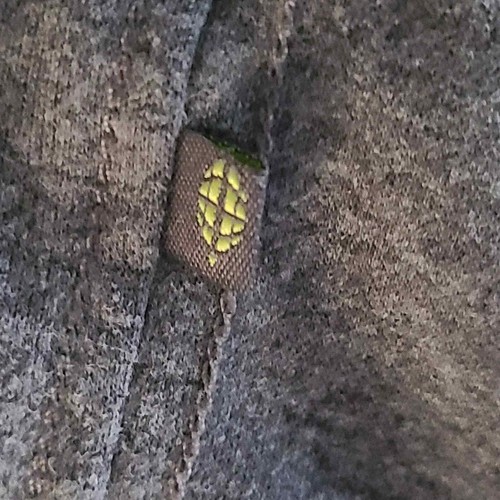 EXOFFICIO Mens Pullover Crew Neck Long Sleeve Thumbholes T-Shirt Gray Size XL - Picture 5 of 12