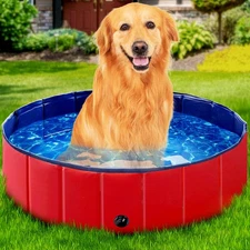 Foldable Dog Pool, Kiddie Pool Hard Plastic Pool for Kids, Pools for Large Do...