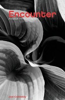 Joel T Comiskey | Encounter | Taschenbuch | Englisch (2007) | Ccs Publishing