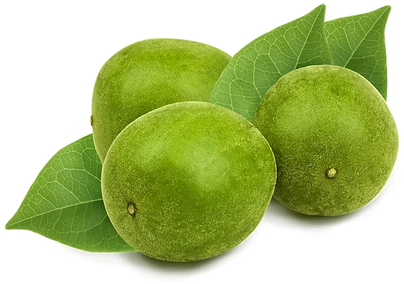 100g 100% reine gemahlene Luo Han Guo, Mönchsfrucht, Monk fruit - Bild 3 von 4