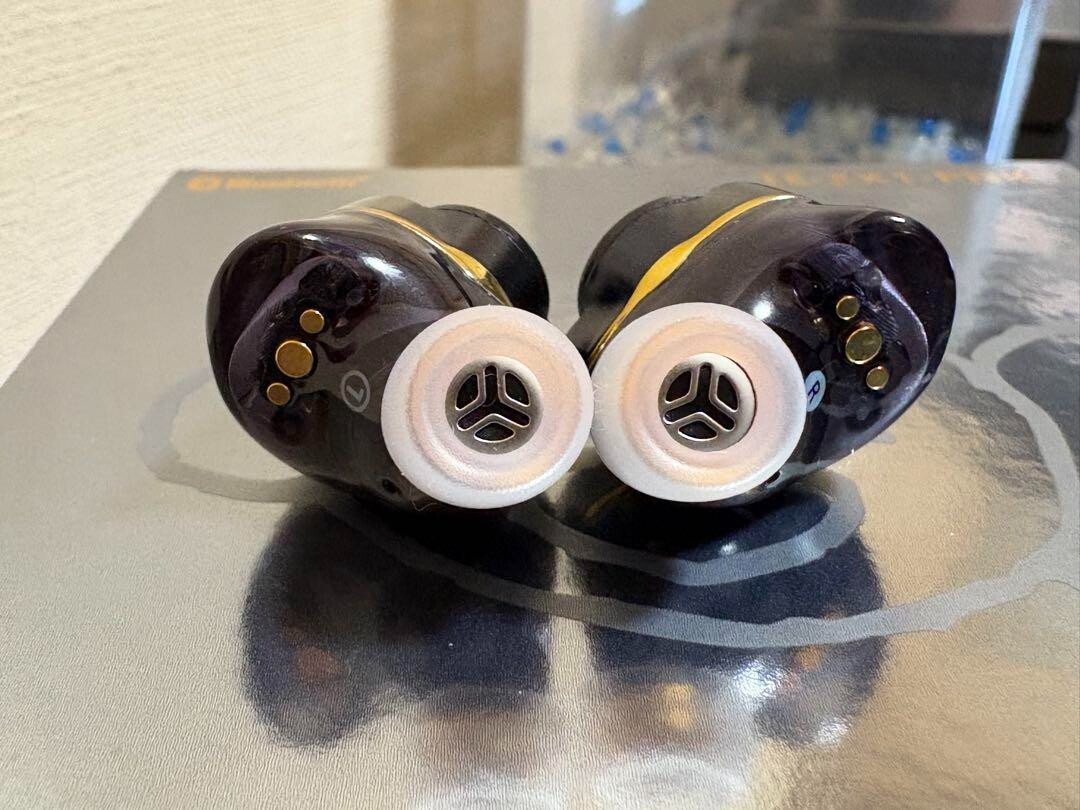 AVIOT TE-ZX1 TE-ZX1Earphones Hybrid Active Noise Cancellation