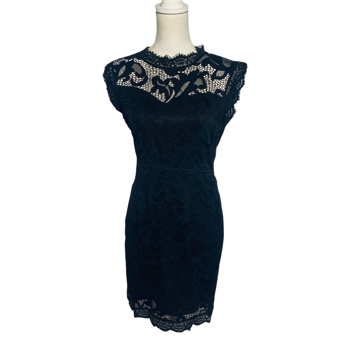 Sans Souci Women Large Black Lace Expo Zip High Neck Sheath Pencil Dress |  eBay