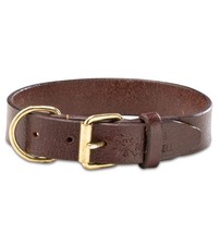 Jack  Russell Collare per Cani in Pelle Premium Peter - Originale in Vera P