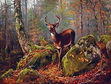 Buck in the forest Accent Tile Mural Kitchen Bathroom Backsplash Ceramic 8x6