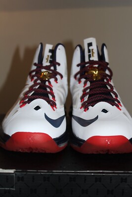 lebron gold medal 10s