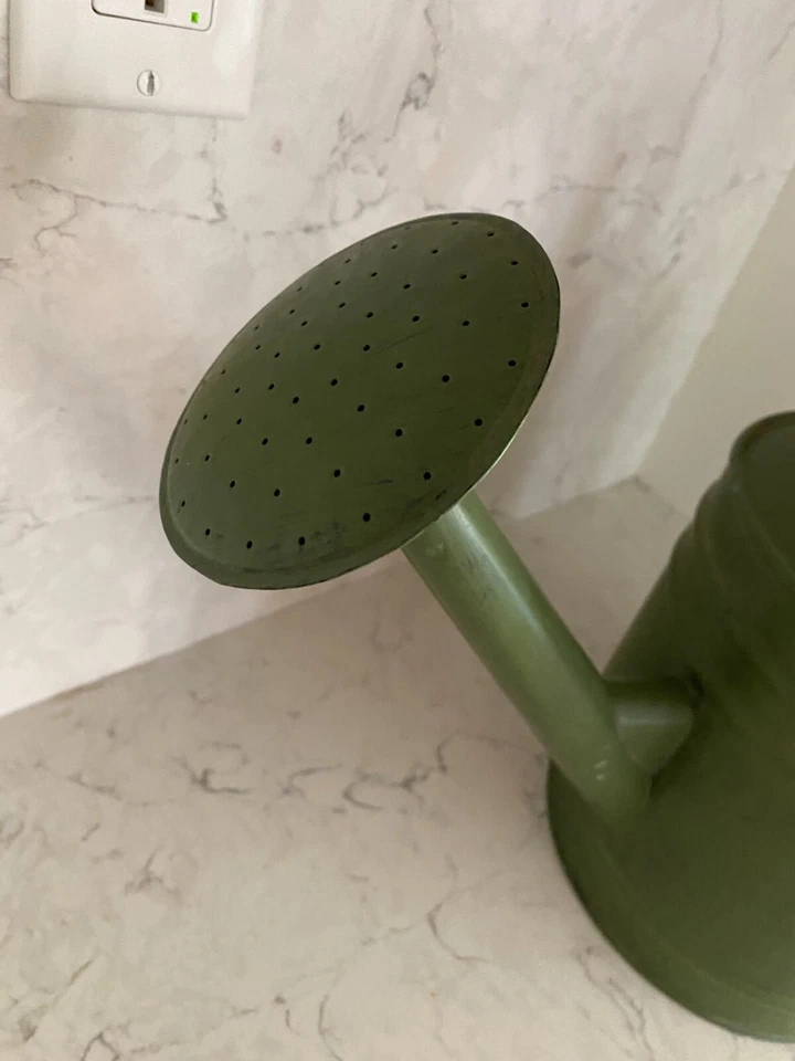 Equipo de jardinería regadera metálica pintada verde doble mango Foto 4 de 4