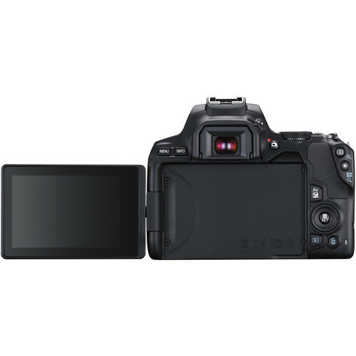 Canon EOS 250D / Rebel SL3 DSLR + 18-55mm + 75-300mm + 500mm + 650-1300mm Konvolut - Bild 7 von 9