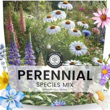 Perennial Species Mix - Large 1 Ounce Packet - 15,000 Flower Seeds for Planti... 271.84 per gallon
