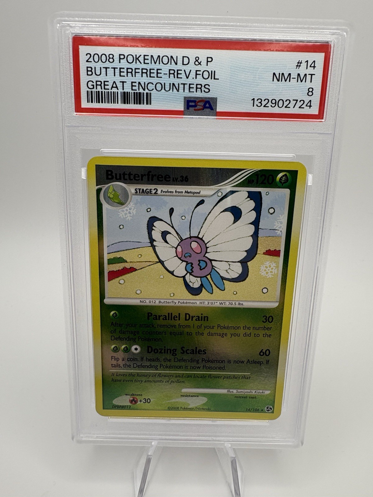 2008 Great Encounters Butterfree Reverse Foil #14 PSA 8