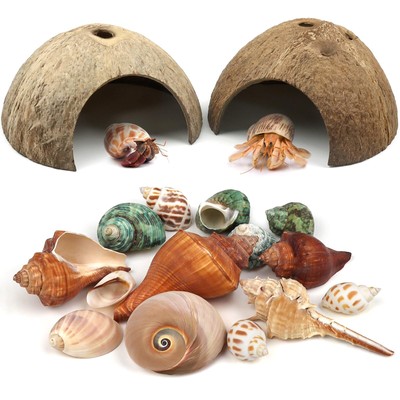 Hermit Crab Supplies - 2pcs Natural Coconut Shell Hut and 14pcs Sea Shells fo...