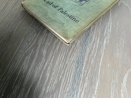 RARE 1931 Amnon A Lad of Palestine Marian King Hardcover Vintage Book - Picture 4 of 8