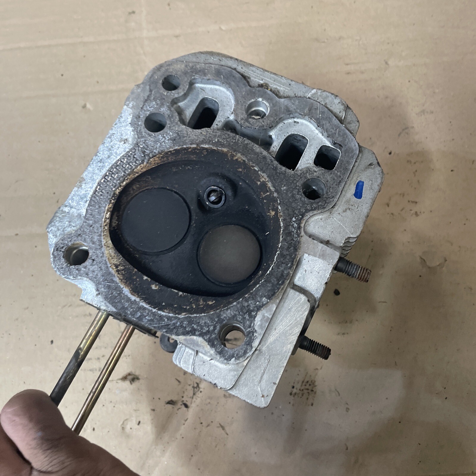 Kohler Command Pro CV15S41562 Cylinder Head Kit MPN 1249405 OEM eBay