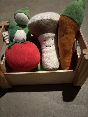 Under the Nile Organic Veggies Basket Plush Baby Toys Tomato Mushroom Carrot