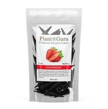 60 Jumbo Charcoal Incense Cones  2" BACKFLOW Bulk Waterfall Burner Holder Censer