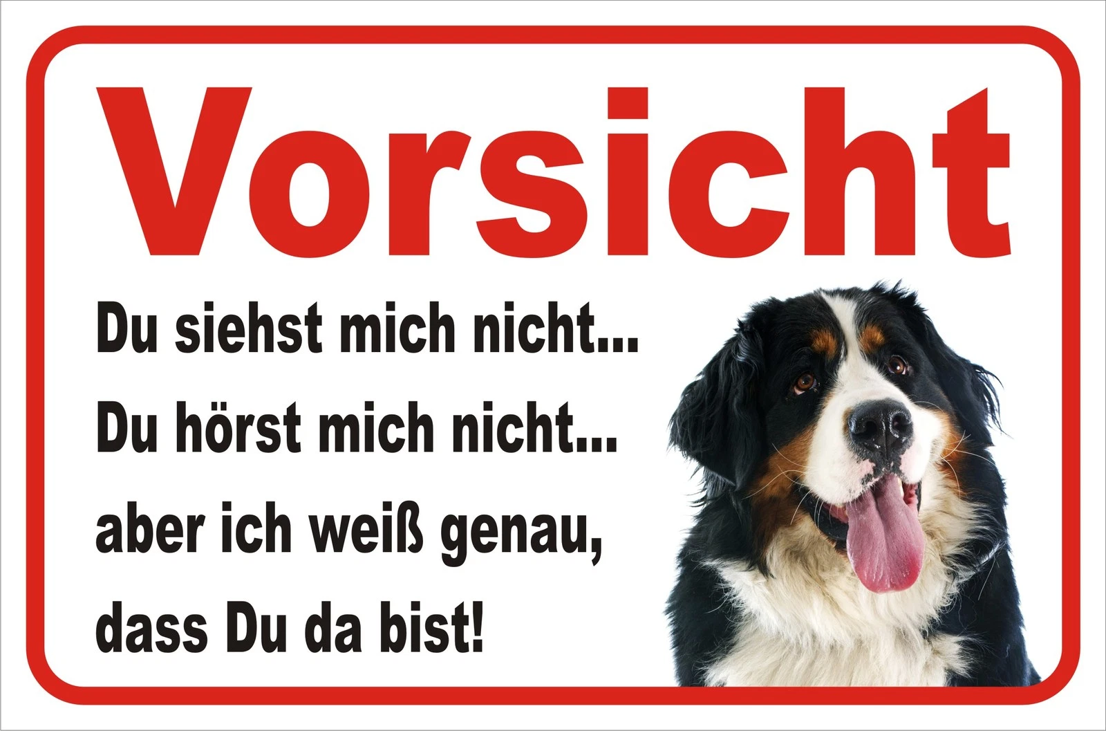 Bild 5 von 7
