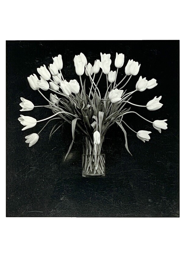 アート・デザイン・音楽 MAPPLETHORPE: THE COMPLETE FLOWERS 9781838668211_p0_v2_s1200x630.jpg