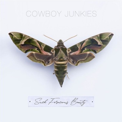 Audio Cd - Cowboy Junkies - Such Ferocious Beauty  - Cooking Vinyl -D- Neu