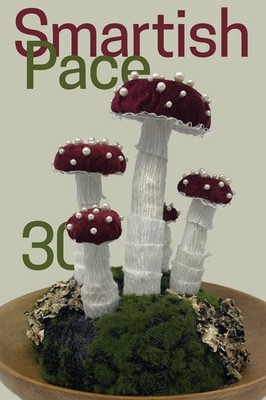 Smartish Pace Issue 30 Stephen Reichert Taschenbuch Englisch 2023