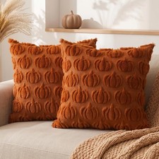 Fall Pumpkin Throw Pillow Covers 18x18 inch Set of 2 Rust Autumn Thanksgiving