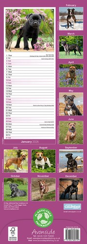 Calendario Staffordshire Bull Terrier Slim 2026 | Regalo para perros 15% de descuento en pedidos múltiples - Imagen 3 de 8