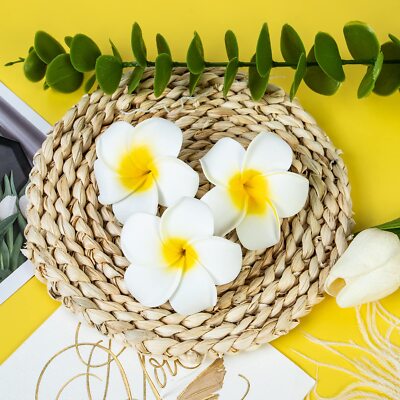 24 Pack Hawaiian Flower Hair Clips Plumeria Hair Accessories  display picture 3