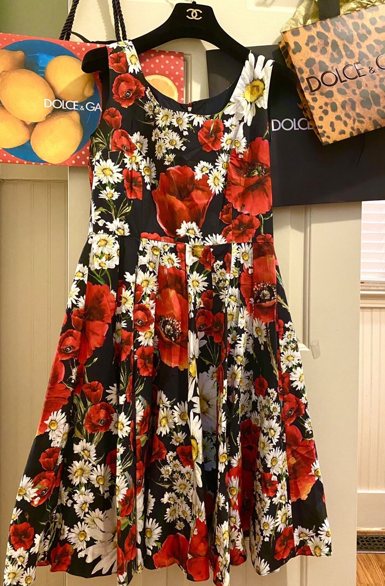 NWT 4 2016 DOLCE & GABBANA POPPY 42 44 6 8 M S D G Midi NWT 4 2016 DOLCE & GABBANA POPPY 42 44 6 8 M S D G Midi
