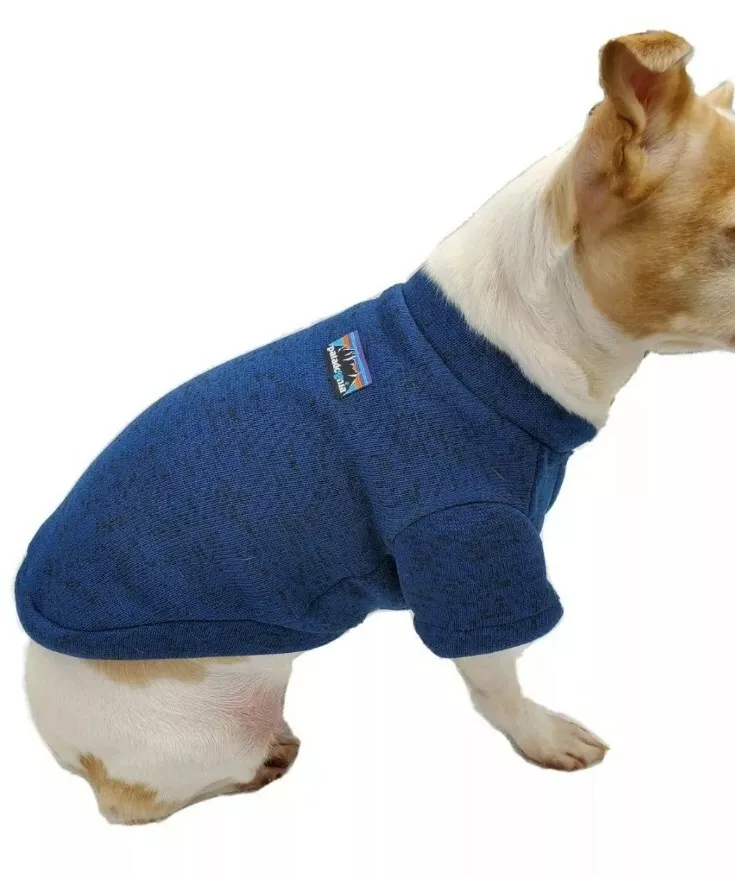 Patagonia dog sale sweater