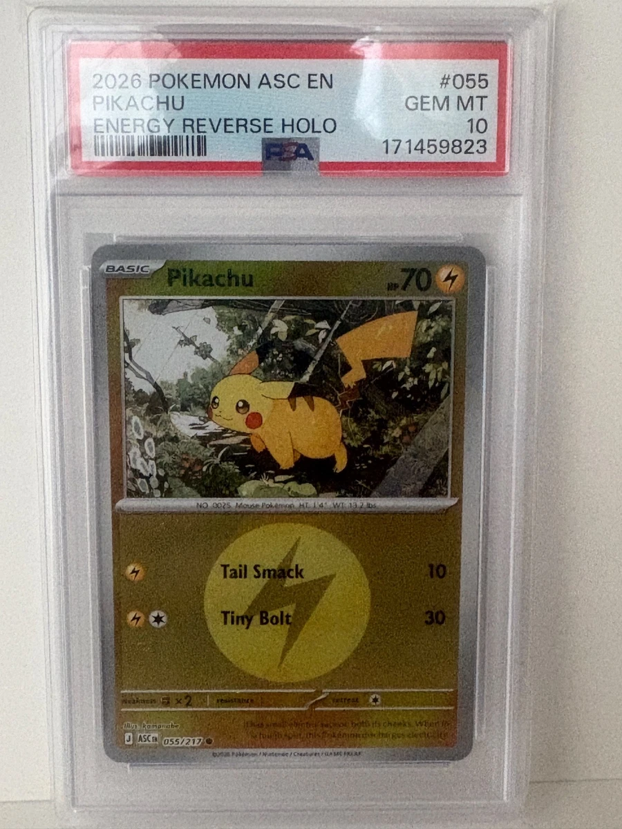 Energy Pokémon TCG Grade 10 Common Individual Collectible Card