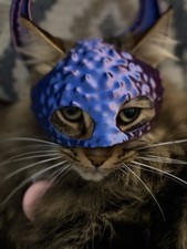 Cat Helmet Or Mask With Horns Purple And Blue Color Changing