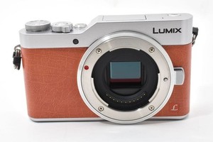 Panasonic Gf9 | eBay