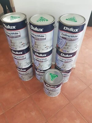 New Dulux Ceiling White Plus Kitchen And