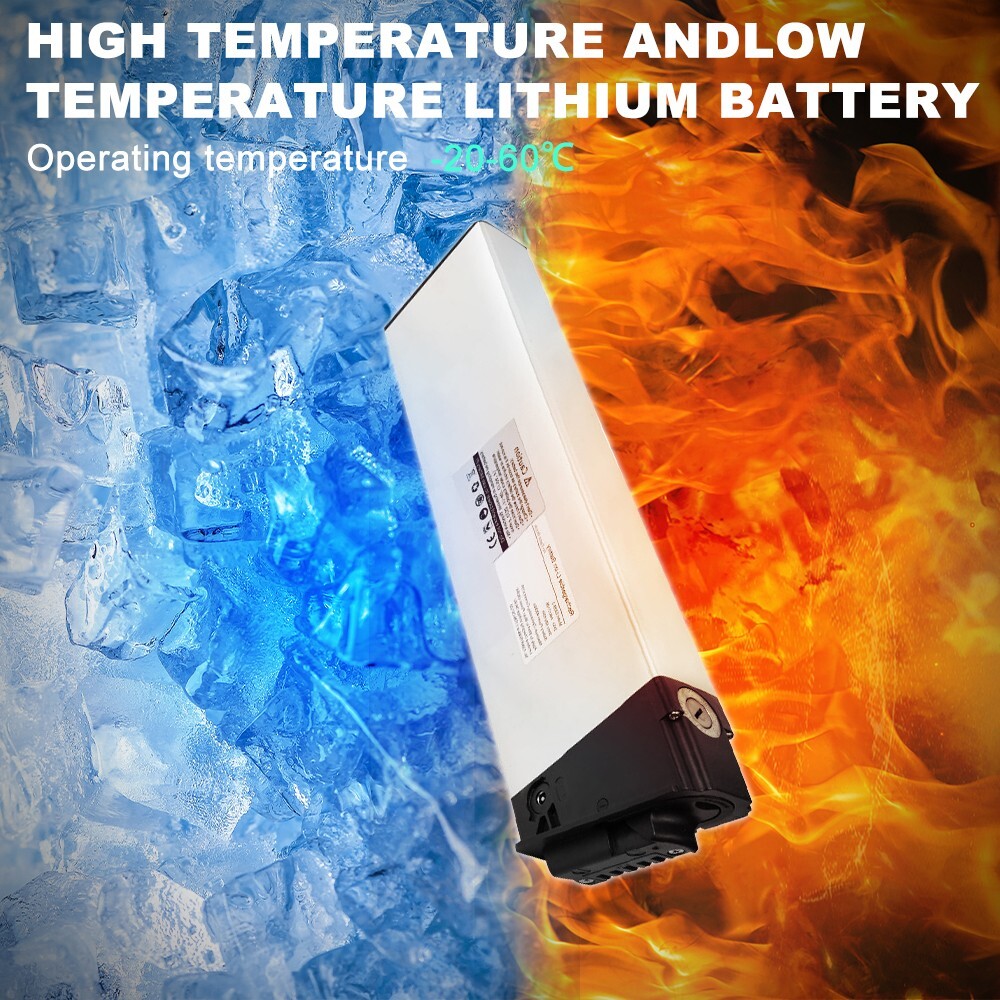 Batteria Litio 48v 10ah | Confronta Prezzi - Foto 6