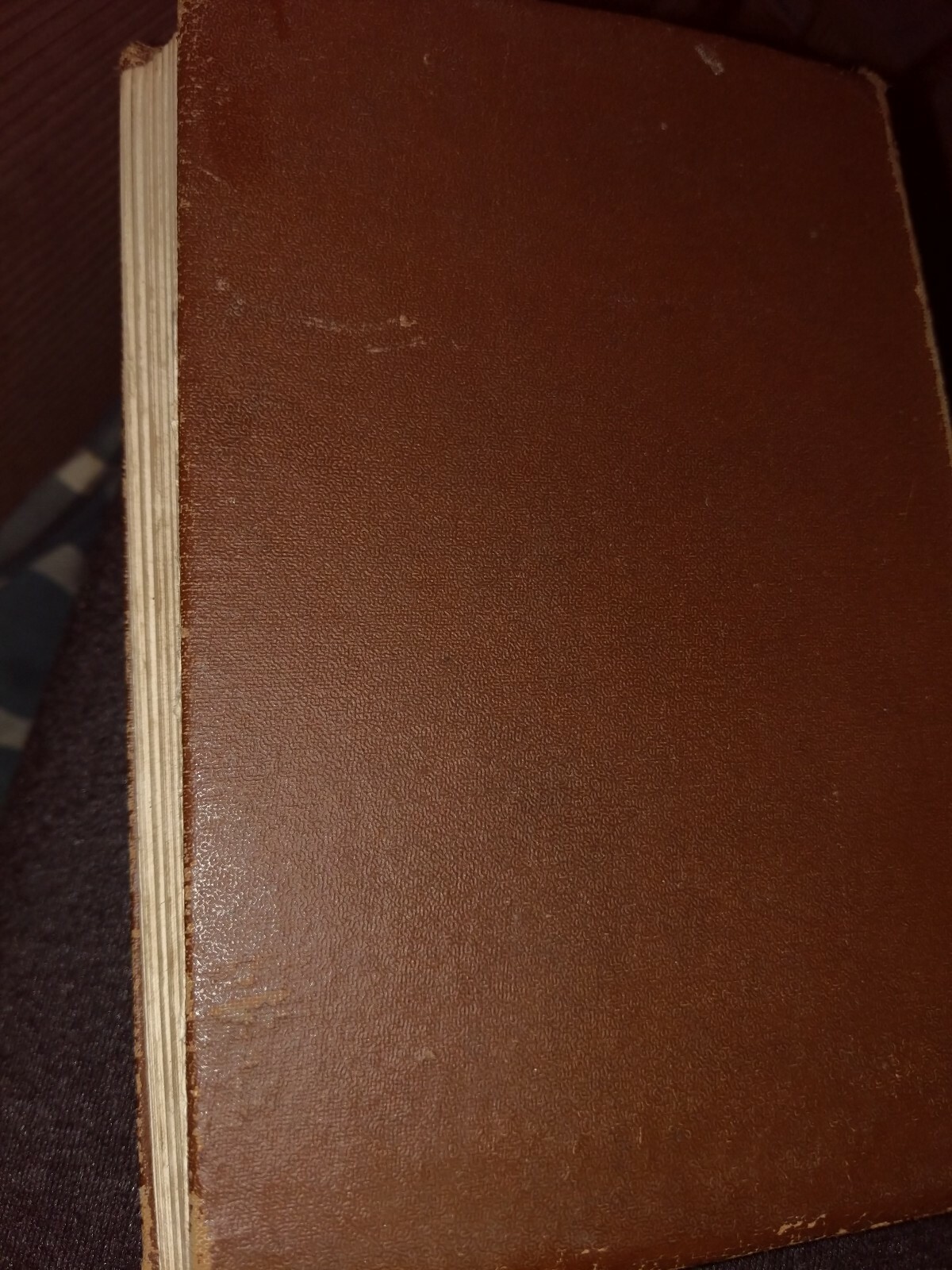 Picture 2 of 4