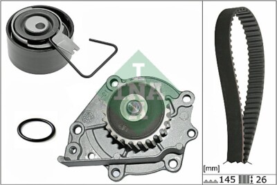 Ina 530 0376 30 - Kit Raffreddamento Motore Con Puleggia E Ventola, 145 Denti