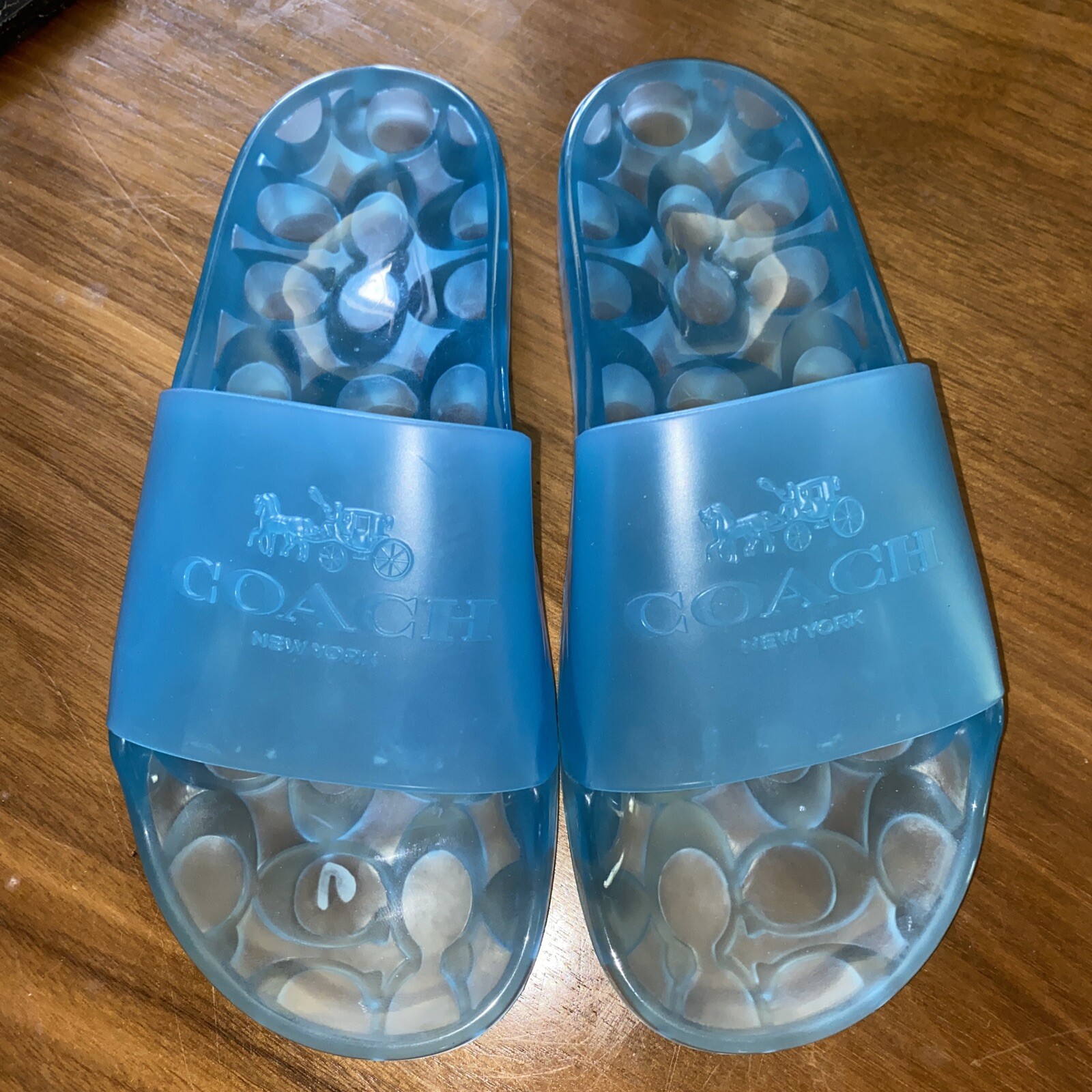 clear jelly coach slides